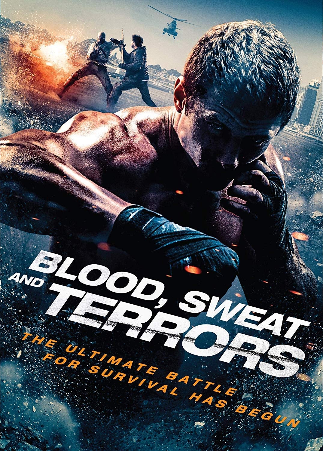 Постер Blood, Sweat And Terrors